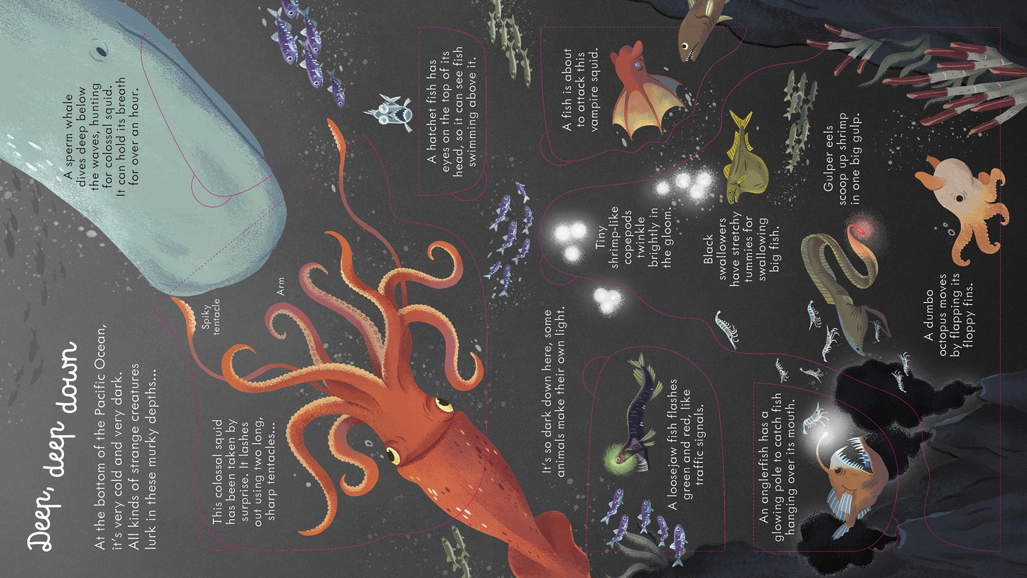 Look Inside Seas and Oceans