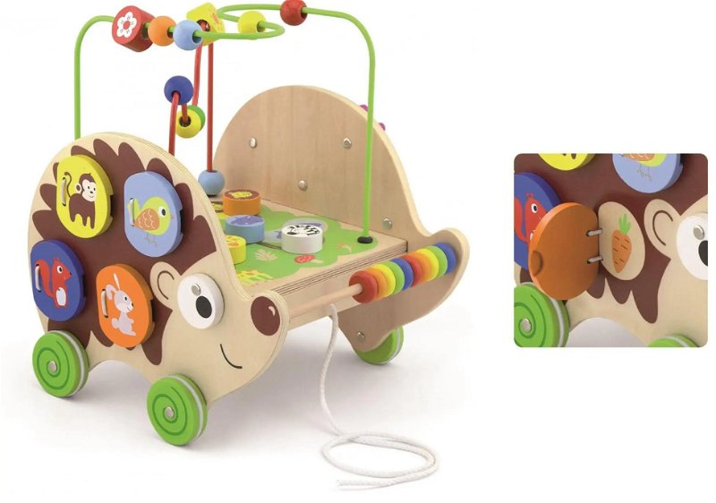 5-in-1 Pull-along Activity Hedgehog