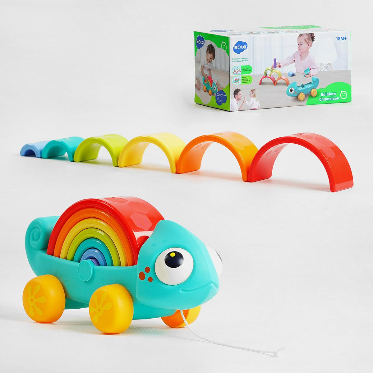 Rainbow Chameleon
