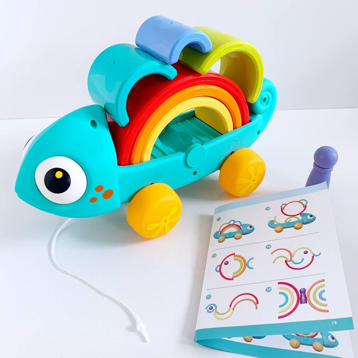 Rainbow Chameleon