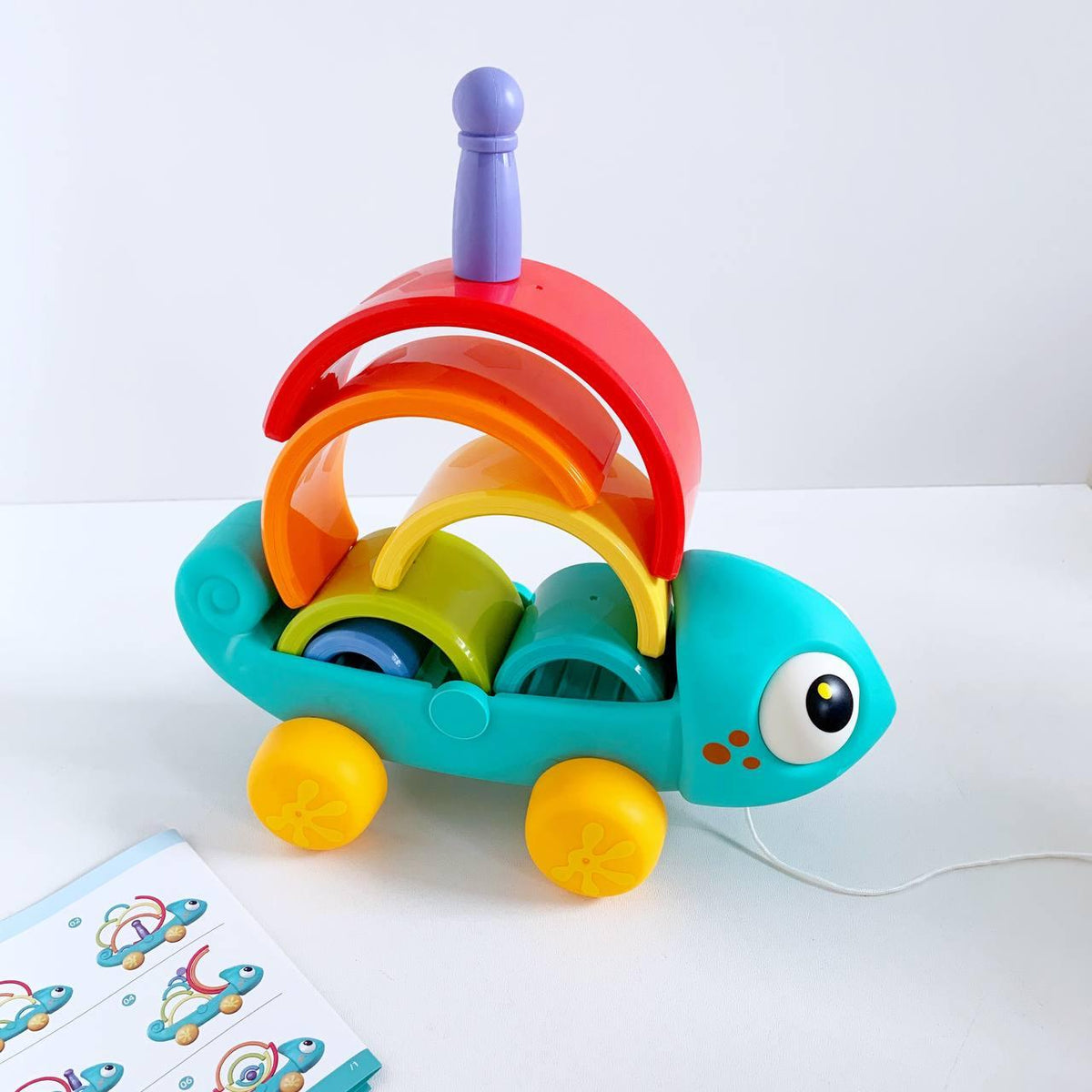 Rainbow Chameleon