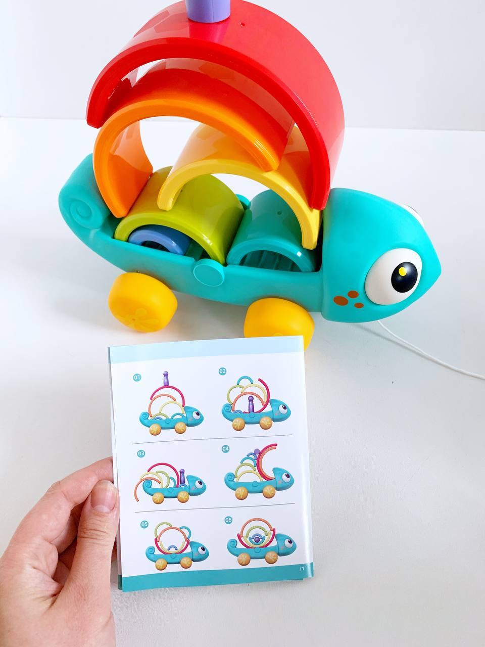 Rainbow Chameleon