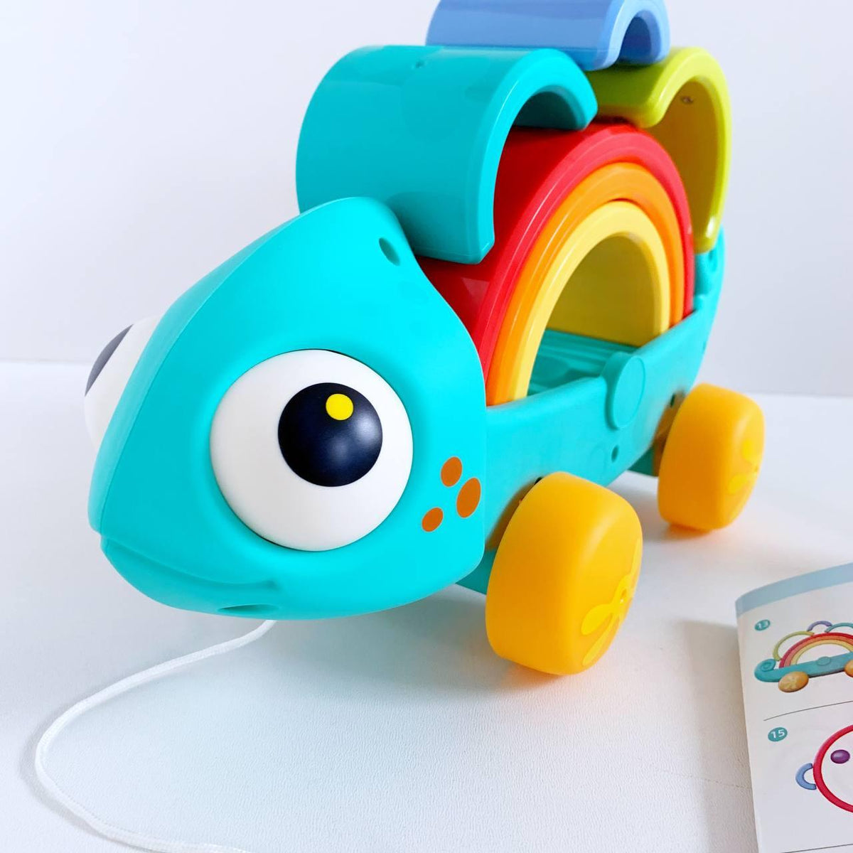 Rainbow Chameleon