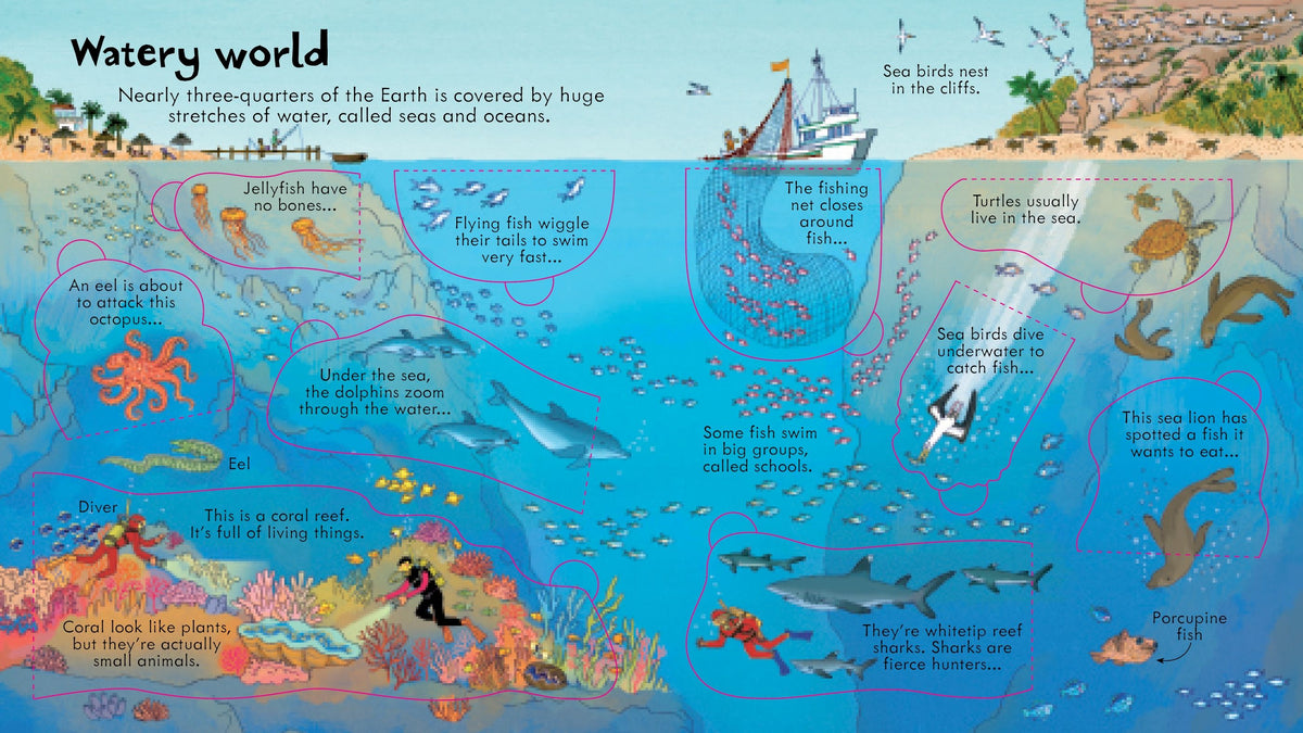 Look Inside Our World