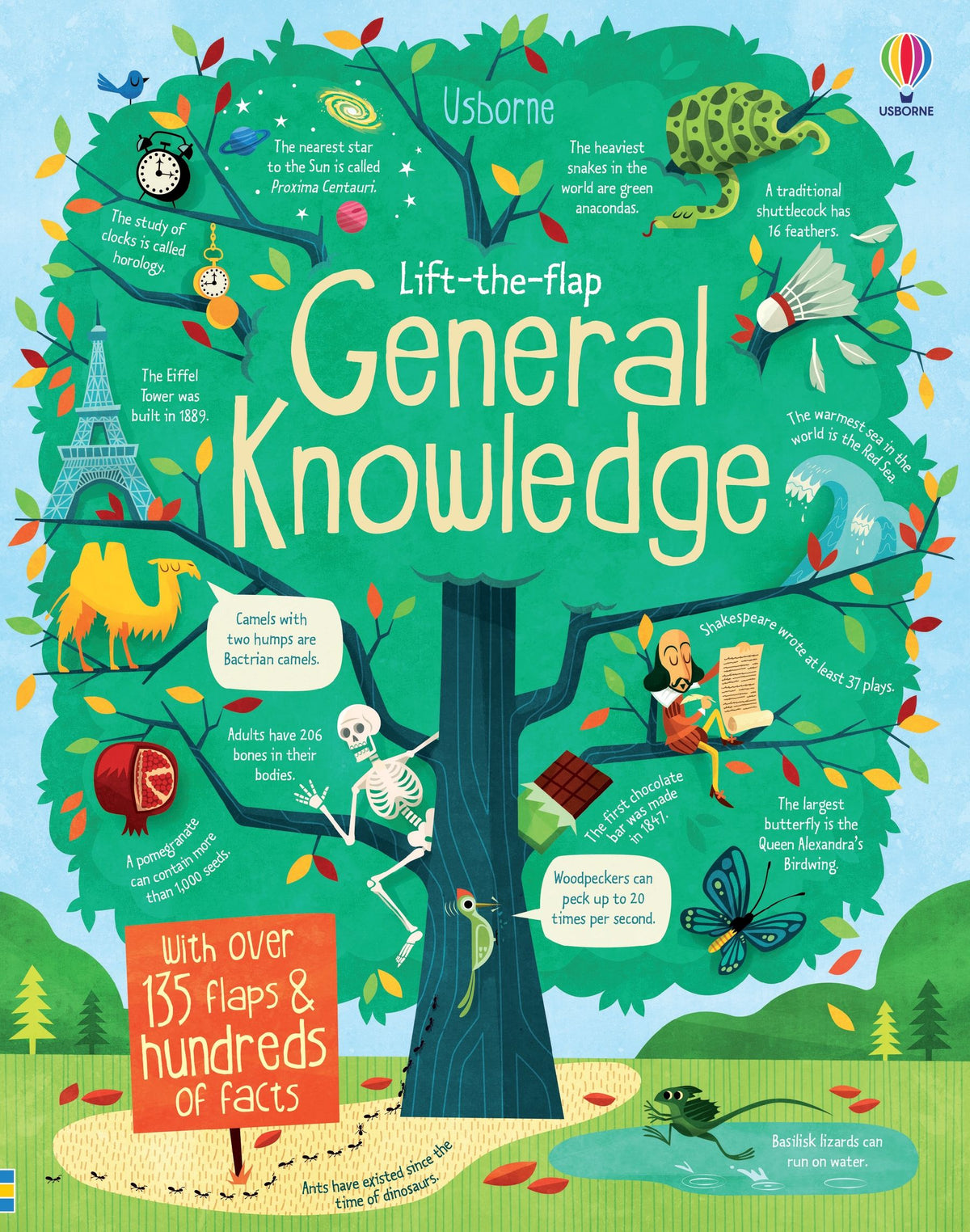 Lift-the-Flap: General Knowledge