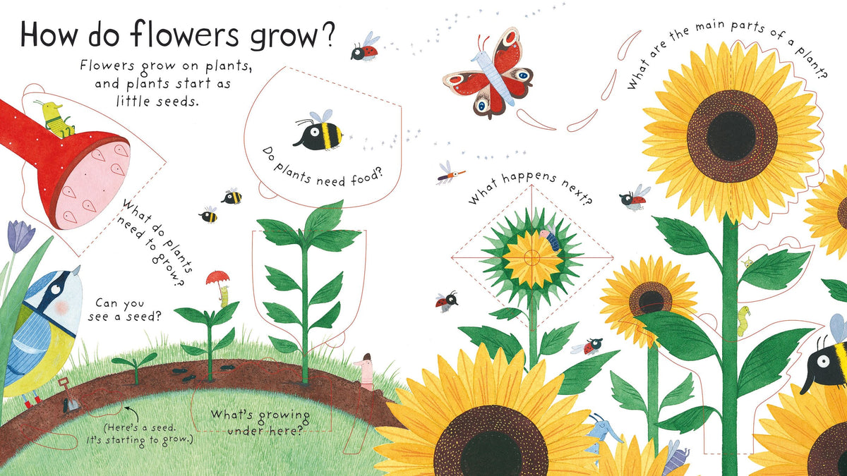 First Questions and Answers: How do Flowers Grow?