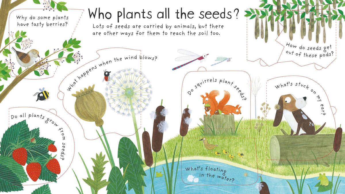 First Questions and Answers: How do Flowers Grow?