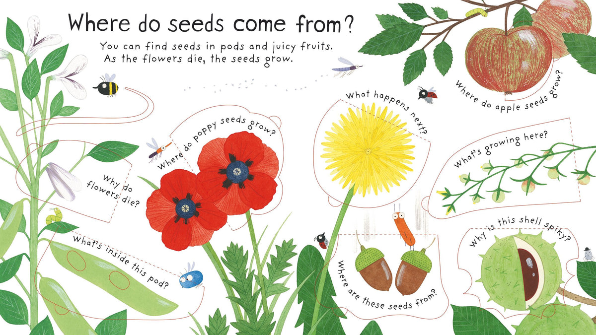 First Questions and Answers: How do Flowers Grow?