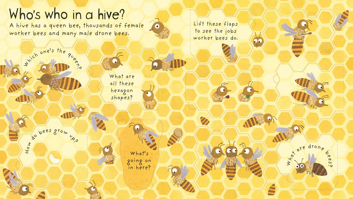 First Questions and Answers: Why do we need bees?