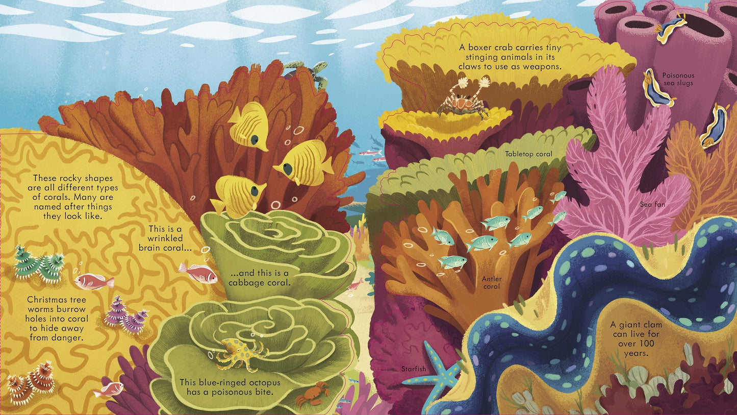 Look Inside Seas and Oceans