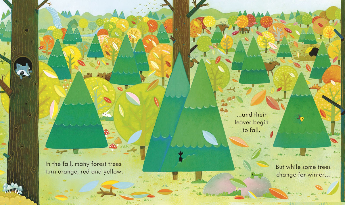 Peep Inside a Forest