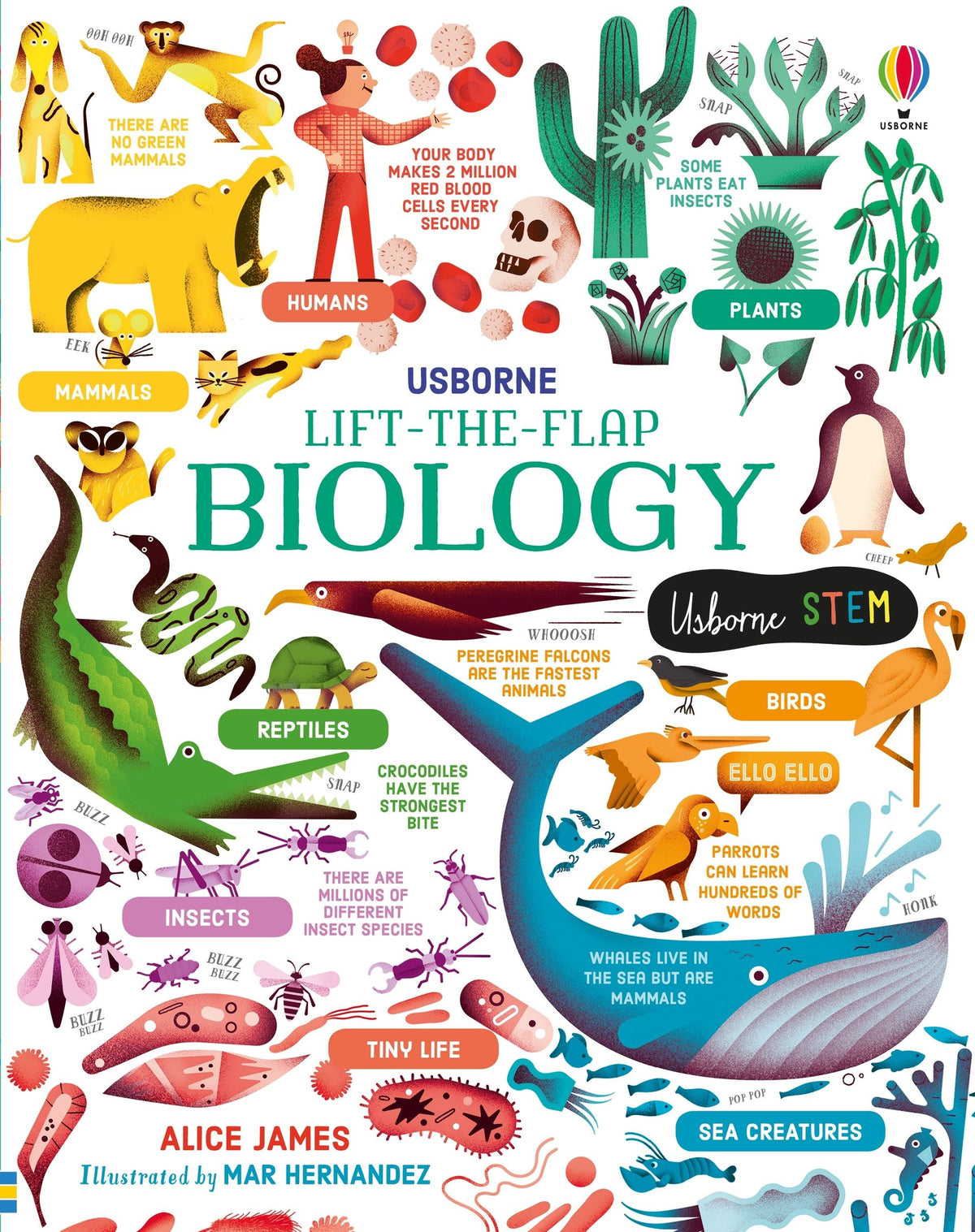 Lift-the-flap: Biology