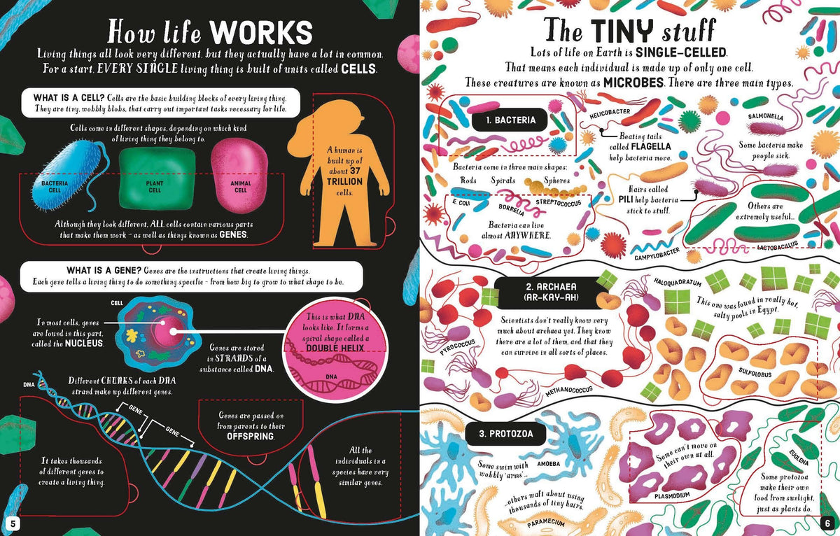 Lift-the-flap: Biology