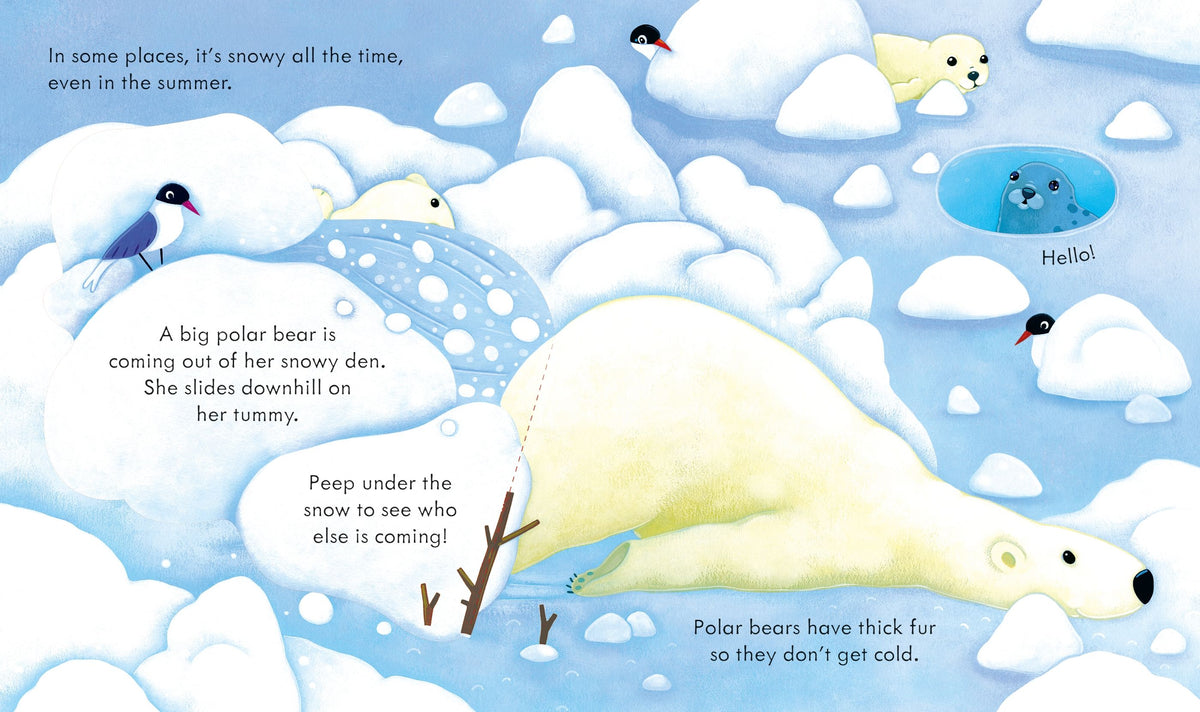 Peep Inside Snowy Places