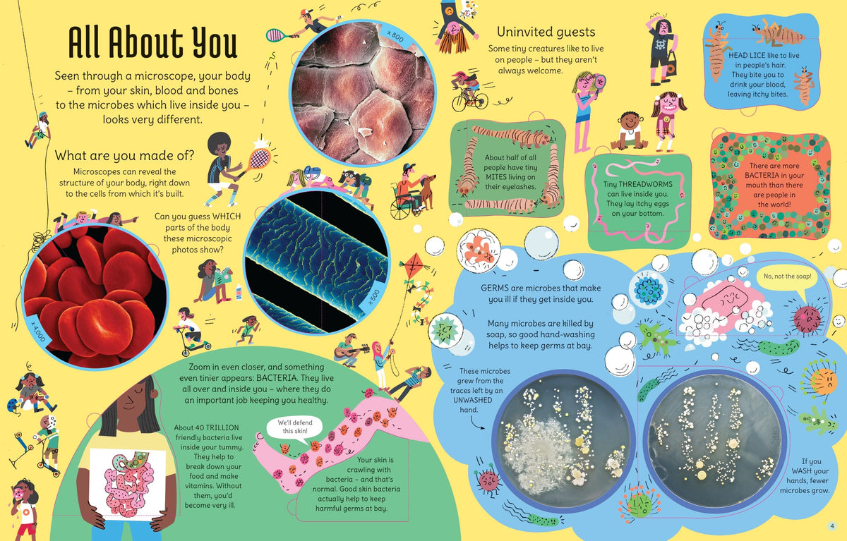 See Inside the Microscopic World
