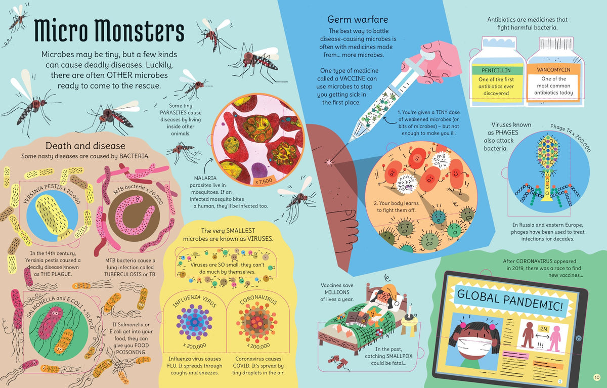 See Inside the Microscopic World