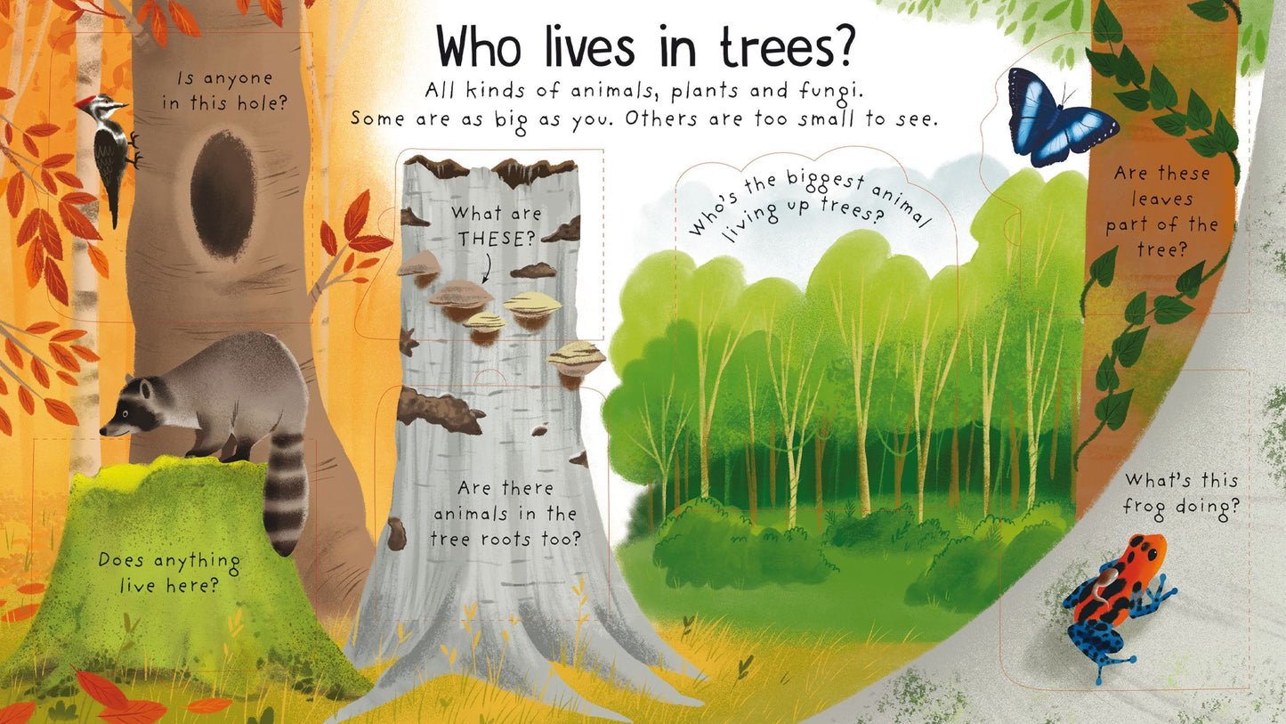 First Questions and Answers: Why do we need trees?