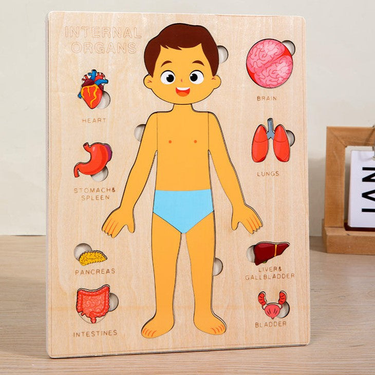 Montessori Body Organ Puzzle - Wooden Layered Learning Board for Kids