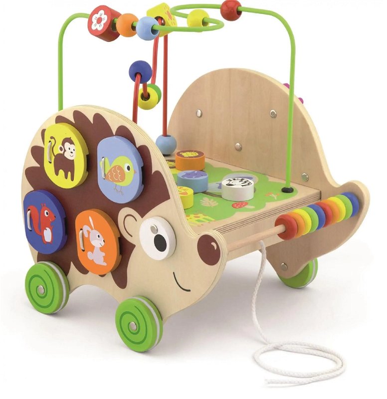 5-in-1 Pull-along Activity Hedgehog