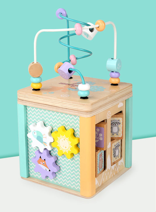 5-in-1 Wooden Fine Sensory Skills and Motor Activity Box