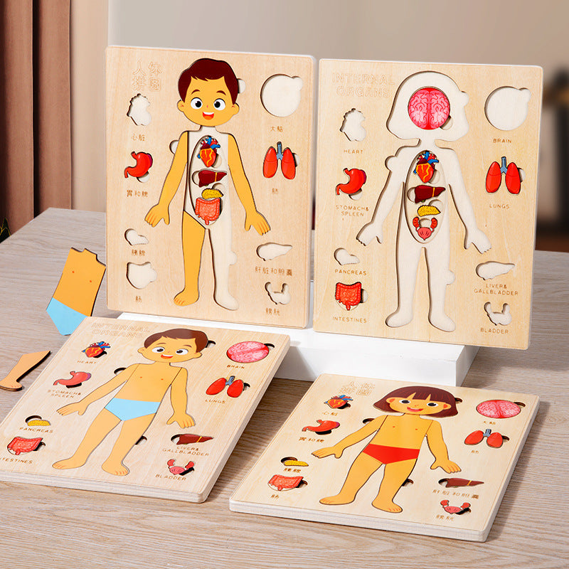 Montessori Body Organ Puzzle - Wooden Layered Learning Board for Kids