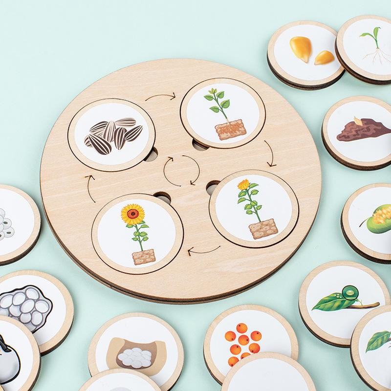 Wooden Montessori Educational Matching Animal, Insect and Plant Growth Cycle Toy