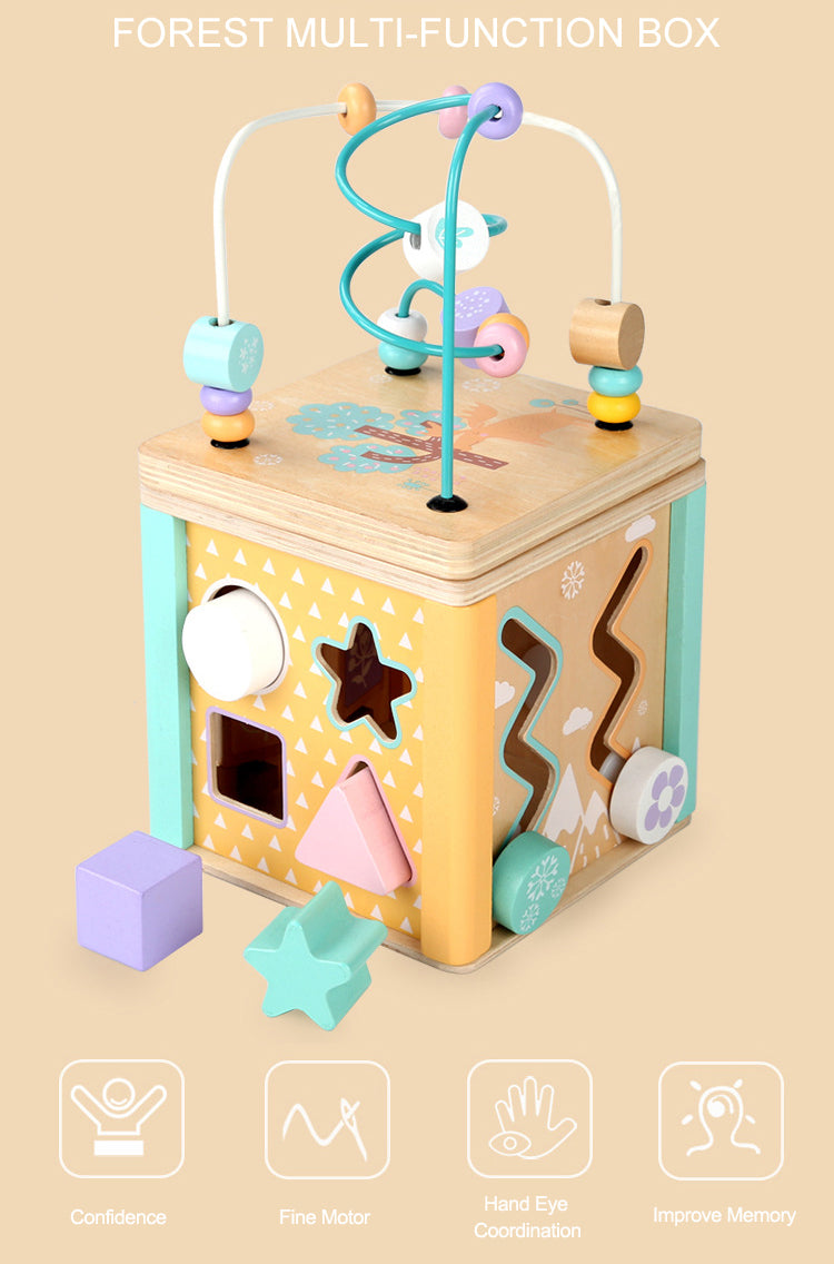 5-in-1 Wooden Fine Sensory Skills and Motor Activity Box