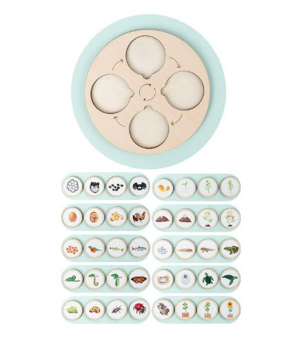 Wooden Montessori Educational Matching Animal, Insect and Plant Growth Cycle Toy