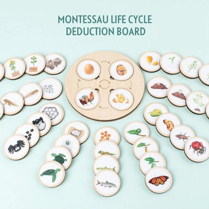 Wooden Montessori Educational Matching Animal, Insect and Plant Growth Cycle Toy