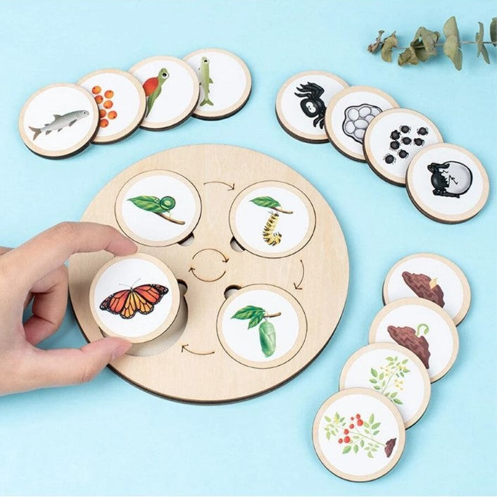 Wooden Montessori Educational Matching Animal, Insect and Plant Growth Cycle Toy