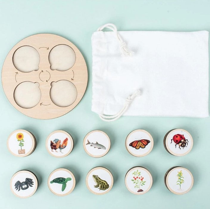 Wooden Montessori Educational Matching Animal, Insect and Plant Growth Cycle Toy