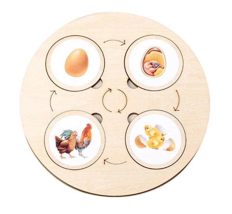Wooden Montessori Educational Matching Animal, Insect and Plant Growth Cycle Toy