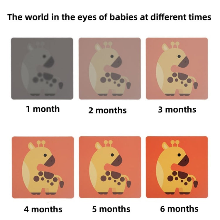 Montessori Learning Educational Baby Vision Stimulation Trigger Cards - 20 Sheets 40 Pages