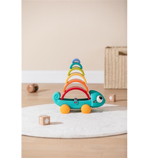 Rainbow Chameleon