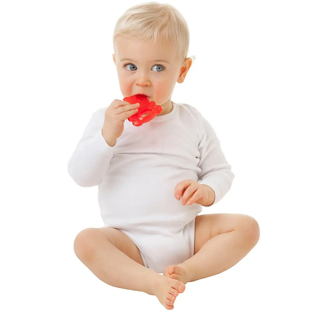 Panda Water Teether