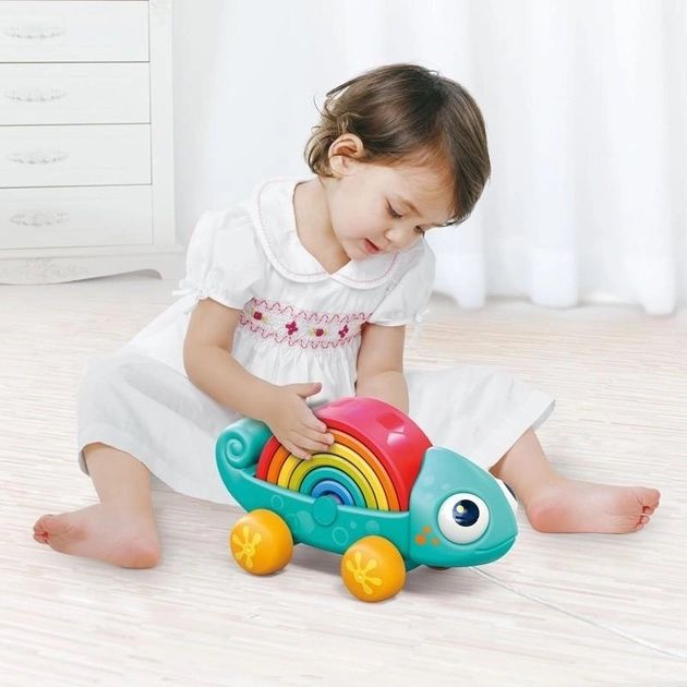 Rainbow Chameleon