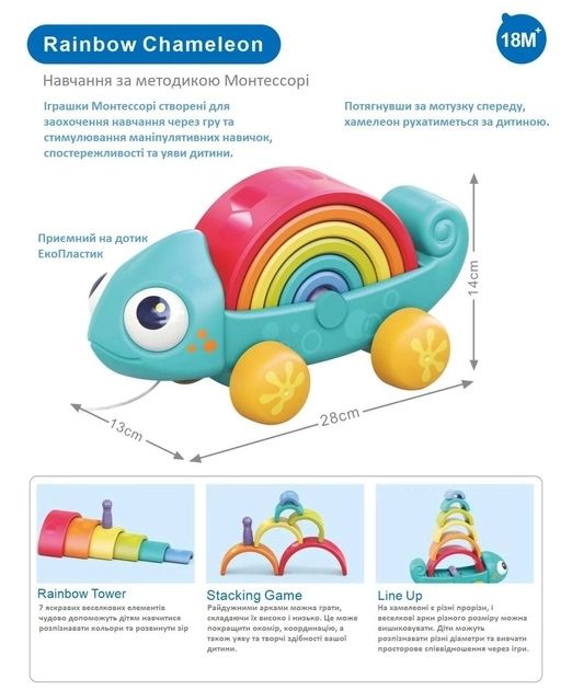 Rainbow Chameleon